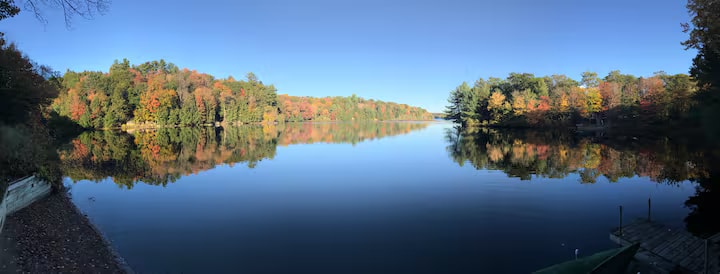 Lovely Waterfront Cottage on Spence Lake photo 3