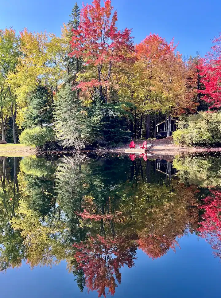 Misty River Cabin — Muskoka River