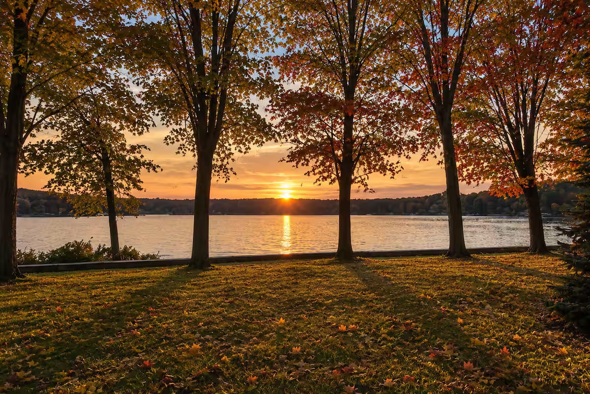 The Shore View — Lake Couchiching photo 4