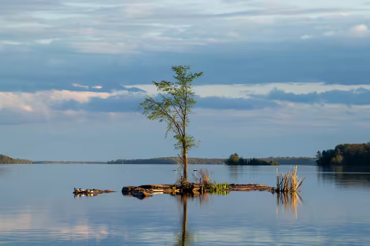 The Shore View — Lake Couchiching photo 5